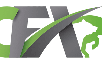 Cash FX Group Review