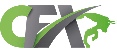 Cash FX Group Review